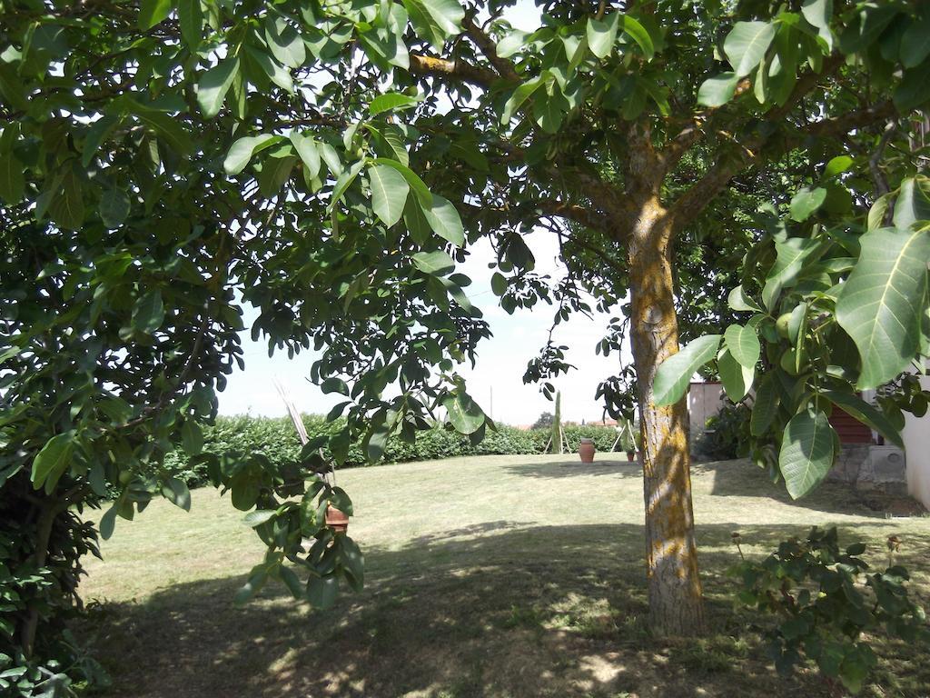Agriturismo Le Caselle Cerbaia Rom bilde